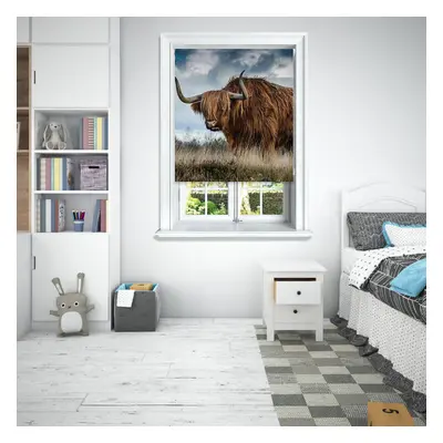 (180 cm Width x cm Drop, Highland Cow) Lister Cartwright Photographic Blackout Roller Blinds Eas