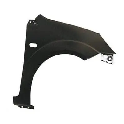 Ford Fiesta Mk6 Front Wing Driver SideÂ