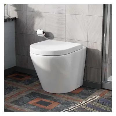 Eddy Modern Cloakroom BTW WC Curved Rimless Toilet and Soft Close Seat