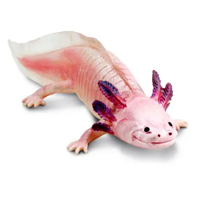 Safari Ltd. Axolotl Figurine - Realistic 7"" Model Figure - Educational Toy for Boys Girls and K