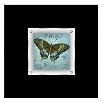 Premier Housewares Butterfly Framed Wall Art