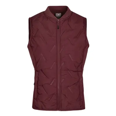 (XL, Mulberry) Trespass Womens/Ladies Miran Hybrid Active Gilet