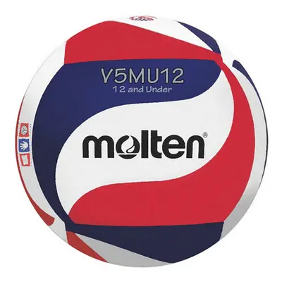 Molten V5MU12 - Premium Light Youth Volleyball (12 years old and under)