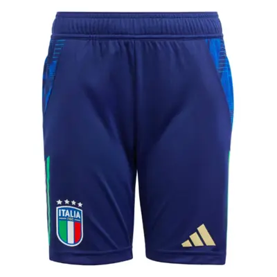 (XLB) Italy Training Shorts (Navy) - Kids