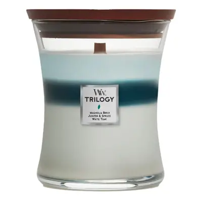 WoodWick Medium Hourglass Candle, Icy Woodland - Premium Soy Blend Wax, Pluswick Innovation Wood