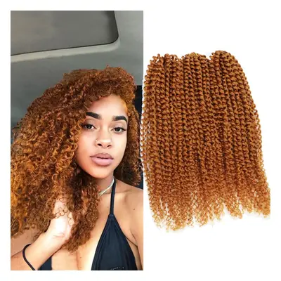 3pcs/pack Kinky Curl 12Inch Afro Kinky Twist Hair Crochet Braids Soft Synthetic Crochet Hair Ext