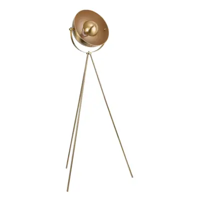 Industrial Style Satin Brass Tripod Floor Lamp