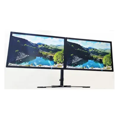 NEC Dual Screen 2x22â³ Monitor Bundle - (1680 x 1050) - 1xDVI/1xVGA