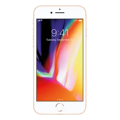 Apple iPhone Plus 256GB Gold Unlocked Smartphone EXCELLENT