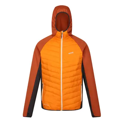 (S, Orange Pepper/Burnt Copper) Regatta Mens Andreson VIII Hybrid Jacket