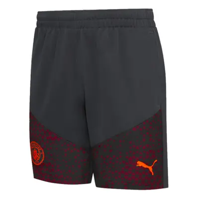 (M) Man City Training Shorts (Strong Grey)