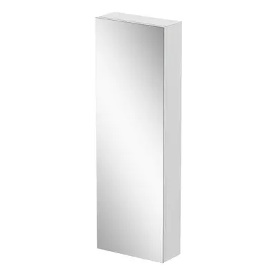 Tall Bathroom Mirror Cabinet Door Stainless Steel Wall Mounted Pre-Assembled