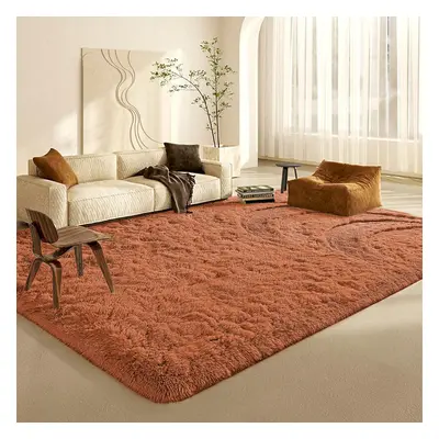 (Rust, 80X300CM) Large Shaggy Rugs Non-Slip Fluffy Rug Soft Carpet Mat