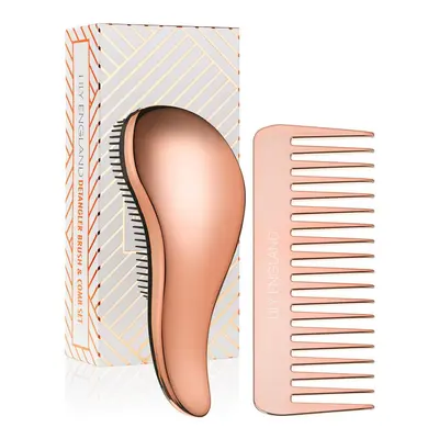 Detangler Brush and Comb Set - Detangling Hairbrush for Women and Kids Detangling Hairbrush for 