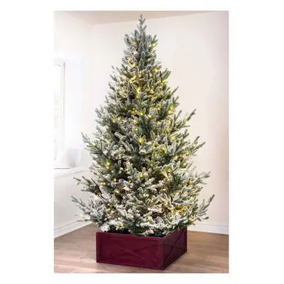 (Pre-lit 8ft - branches, LEDs) Christmas Tree World | Un-lit/Pre-lit Frosted Ultra Mountain Pine