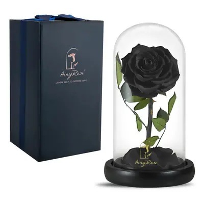 SW Forever Preserved Real Black Rose Flower Birthday Gifts for Mom Wom