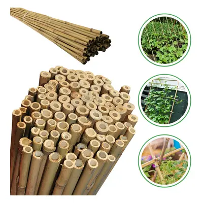 (2ft - 8ft Bamboo Canes Strong Heavy Duty Professional Plant Support Garden) Heavy Duty 2ft - 8f