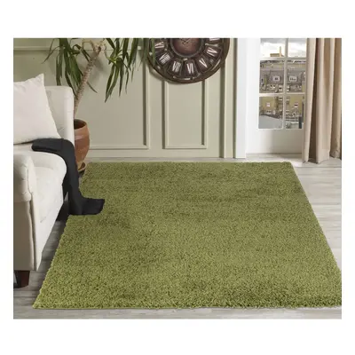 (120cm x 170cm (4ft x 5ft 8")) Soft Thick Luxury Modern Shaggy Rug Green