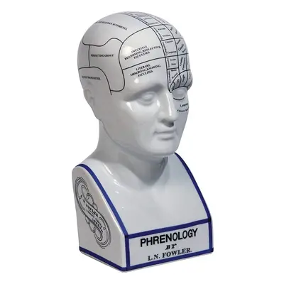 Phrenology Head Authentic Models LN Fowler Large inch Porcelain