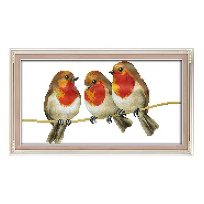 Cross Stitch Kits, Three Little Birds Awesocrafts Easy Patterns Cross Stitching Embroidery Kit S