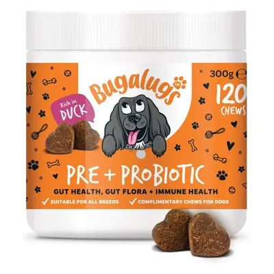 Bugalugs Probiotics for Dogs Natural Dog Treats with Pumpkin Powder for dogs - Dog Probiotics Fo