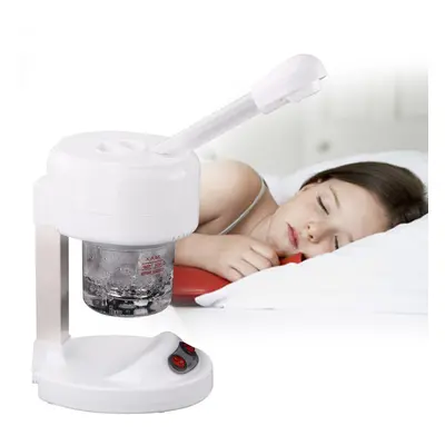 Facial Skin Care Steamer Professional Face Sprayer Salon Beauty