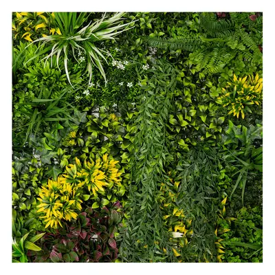 (Cassia 100cm x 100cm (3 Pack)) Artificial Plant Wall Tiles