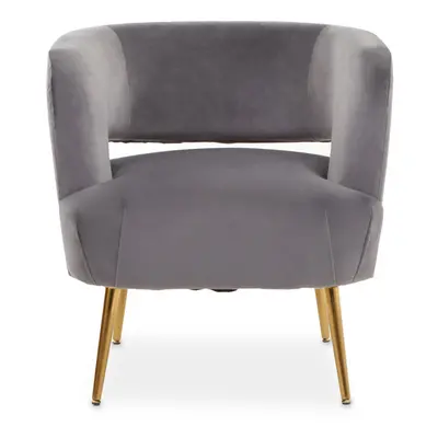 Grey Velvet Chair with Gold Finish Metal Legs, Backrest Dining Chair, Easy to Clean Armchair