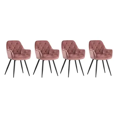 (Set of chairs, Rose) 2/4 Dining Chairs Velvet Chairs home & restaurants