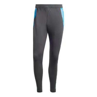 (3XL) Argentina Training Pants (Carbon)