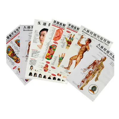 7pcs/set English Acupuncture Meridian Acupressure Points Posters Chart Wall