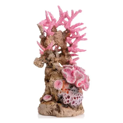 Sam Baker Ornamental Reef Pink Medium