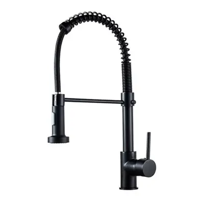 (black) 360swivel Spout Kitchen Sink Mixer Taps With Pull Out Bidet Spray Tap Chrome