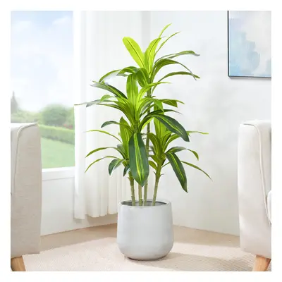 (120CM) Artificial Agave Tree with Plastic Planter & Moss