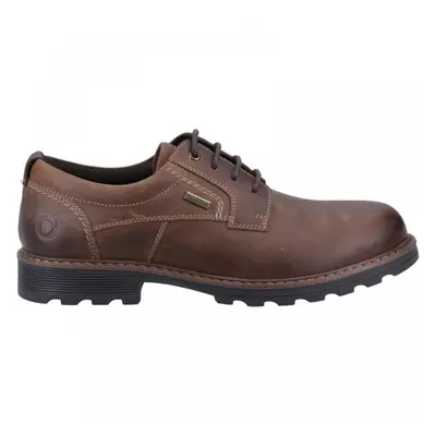 Tadwick | Dark Tan | Waterproof | Mens Rugged Country Work Shoes