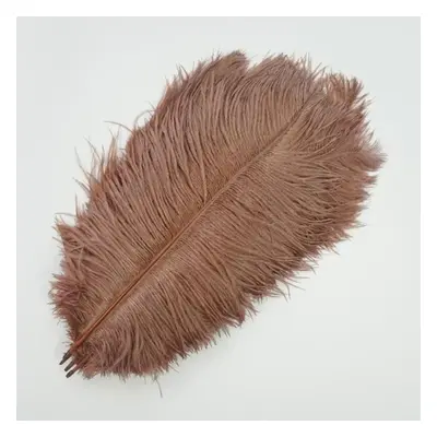 (brown, 55-60cm 22-24inch) 10pcs /lot New Colored Ostrich Feathers For Crafts White Black Feathe