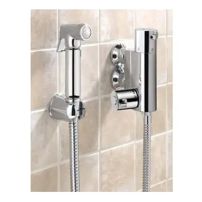 Elegant Thermostatic Mixer Bidet Shower, Brass