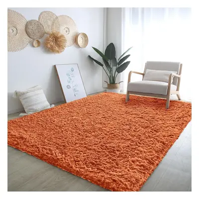 (160cm x 230cm (5ft 4" x 7ft 8")) Fluffy Shaggy Rugs Living Room Runner Carpet Mat