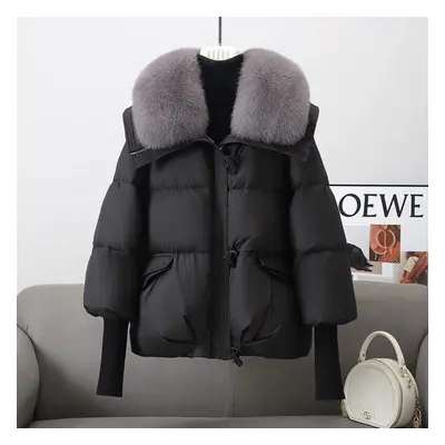 (black, XL) Winter Down Short Padded Jacket Women Parkas Fur Collar Thick Cotton Coats Clothes B