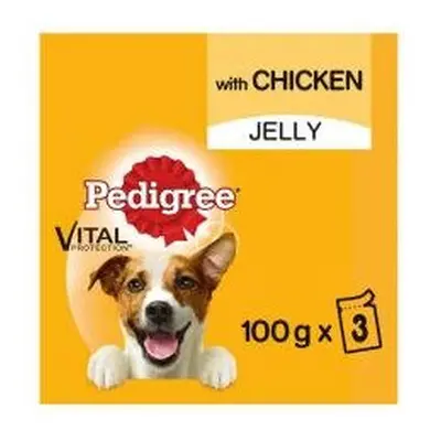 Pedigree Dog Pouches With Chicken In Jelly 3x100g (Pack of 14)