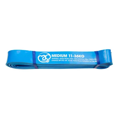 (Extra Strong, Blue) Fitness Mad Loop Resistance Band