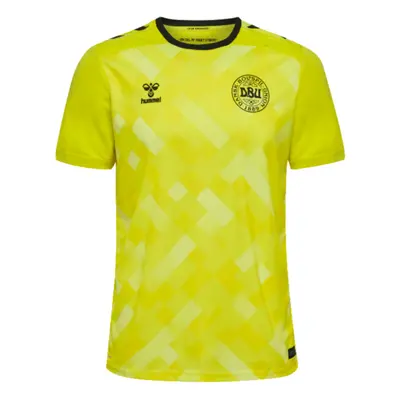 (XL) Denmark Home Goalkeeper Shirt (Yellow)