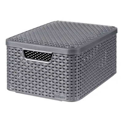 Curver Storage Box with Lid Style 18L Metallic Silver Household Storage Box