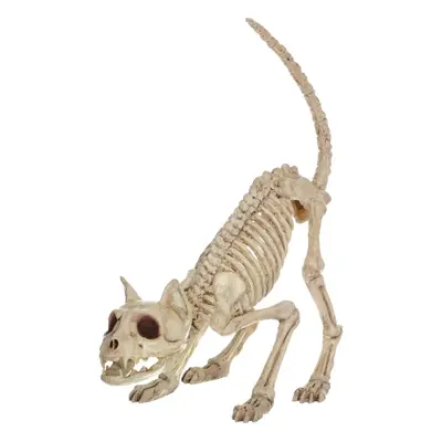 Crazy Bonez Skeleton Cat - Lil' Kitty Bonez