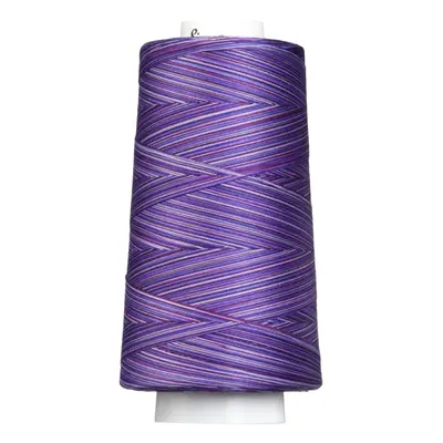 Signature Thread 40wt3000 yd Variegated Purple Haze