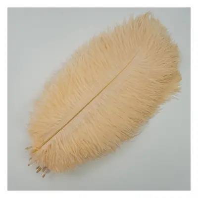 (champagne, 55-60cm 22-24inch) 10pcs /lot New Colored Ostrich Feathers For Crafts White Black Fe