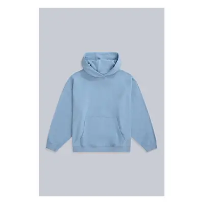 (10 UK, Corn Blue) Animal Womens/Ladies Idol Drop Shoulder Hoodie