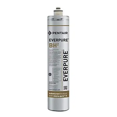 Everpure EV9612-50 BH Filter Cartridge , Silver