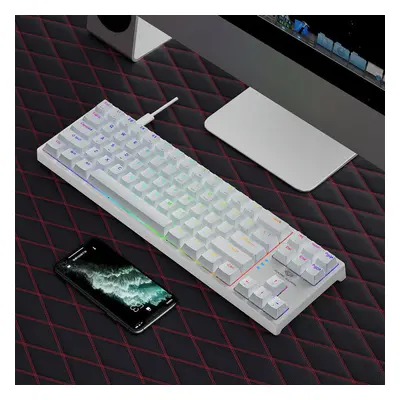 (White, Blue Switch) Mechanical Gaming Keyboard Keys Blue/Red Switch Hot Swappable RGB Backlit D