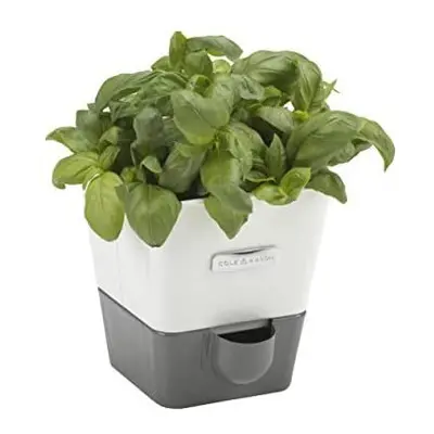 Cole & Mason H105249 Burwell Self-Watering Potted Herb Saver | Windowsill Herb Planter Indoor/He